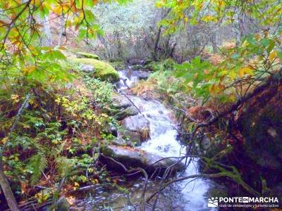 Reserva Natural del Valle de Iruelas;rutas en madrid sierra oeste de madrid cabrera madrid 